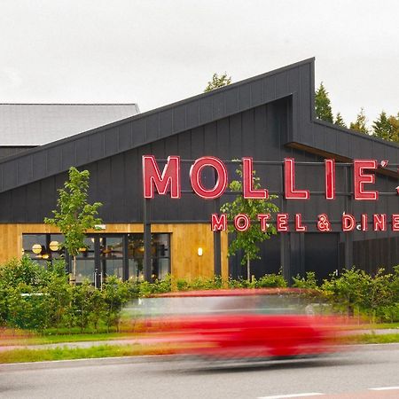 Mollie'S Motel & Diner Bristol Exterior photo