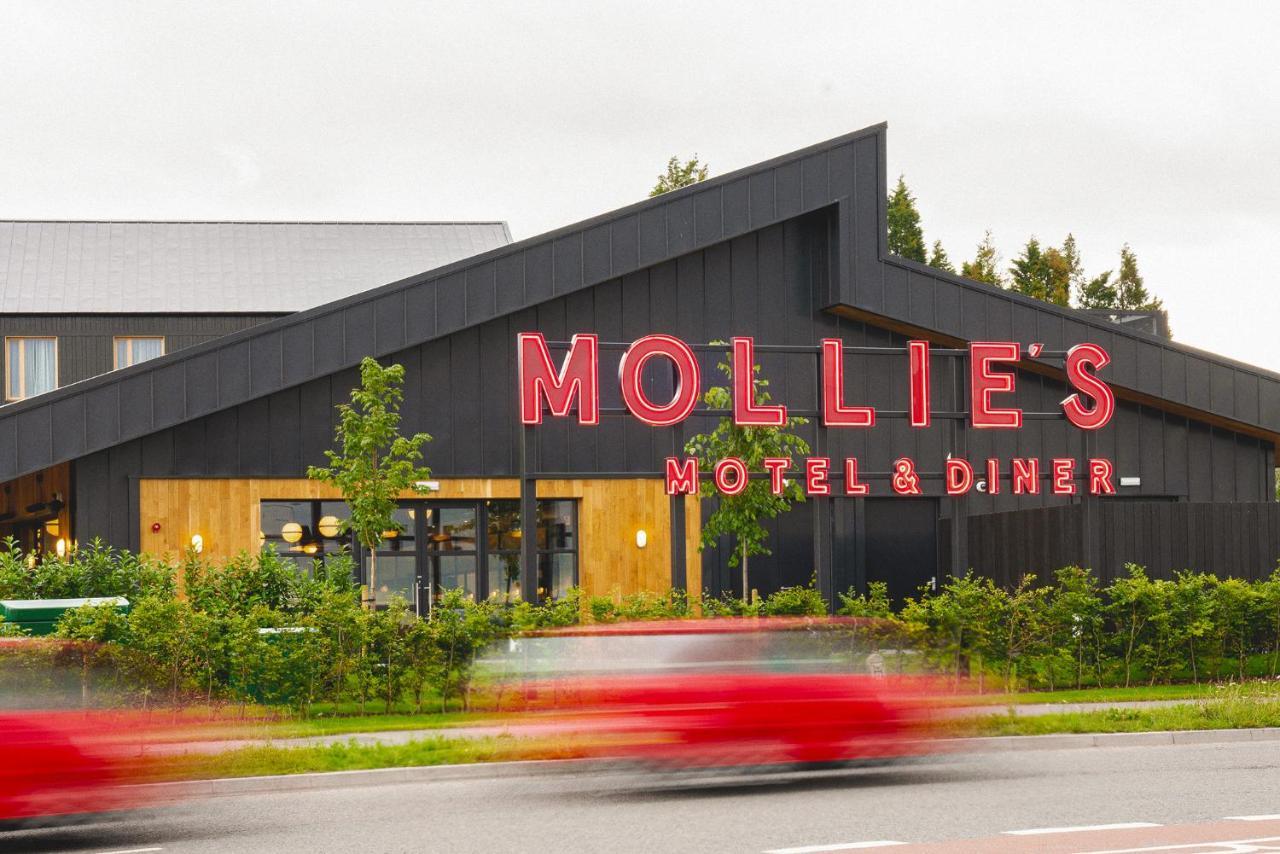 Mollie'S Motel & Diner Bristol Exterior photo